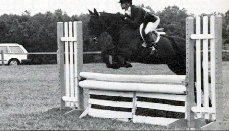 Jumping Clinic Classics: A Tight, Tidy Package promo image