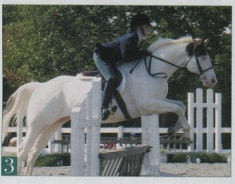 Jumping Clinic Classics: A Very Good Leg promo image