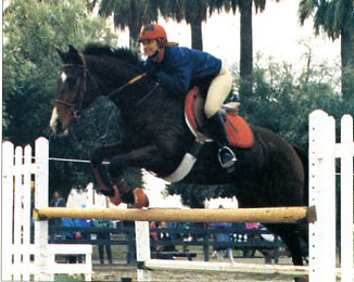Jumping Clinic Classics: Correct, Except the Turnout promo image