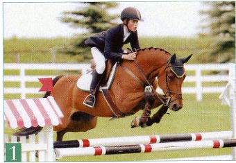 Jumping Clinic Classics: Form Equals Function promo image