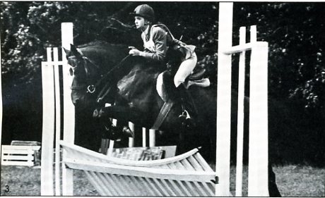 Jumping Clinic Classics: Letter-Perfect promo image