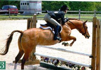 Jumping Clinic Classics: Lowered Heel for Security promo image