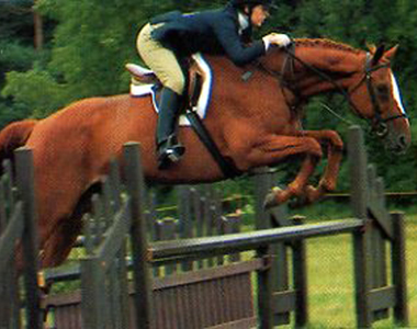 Jumping Clinic Classics: Nearly Faultless promo image
