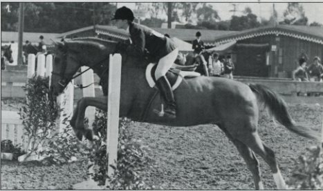 Jumping Clinic Classics: One Hole Can Make All the Difference promo image