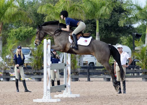 Jumping Clinic Extra with George Morris promo image