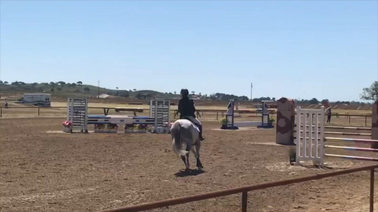 Jumping Clinic Summer 2020