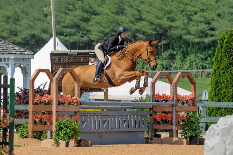 Jumping Clinic with George Morris promo image