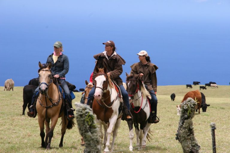 Kahua Ranch, Big Island promo image