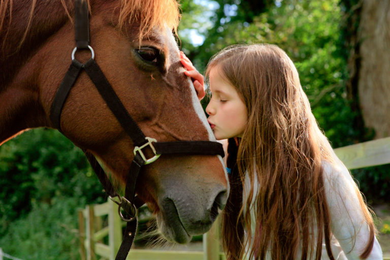 Keep Your Family Safer Around Horse Fly Sprays promo image