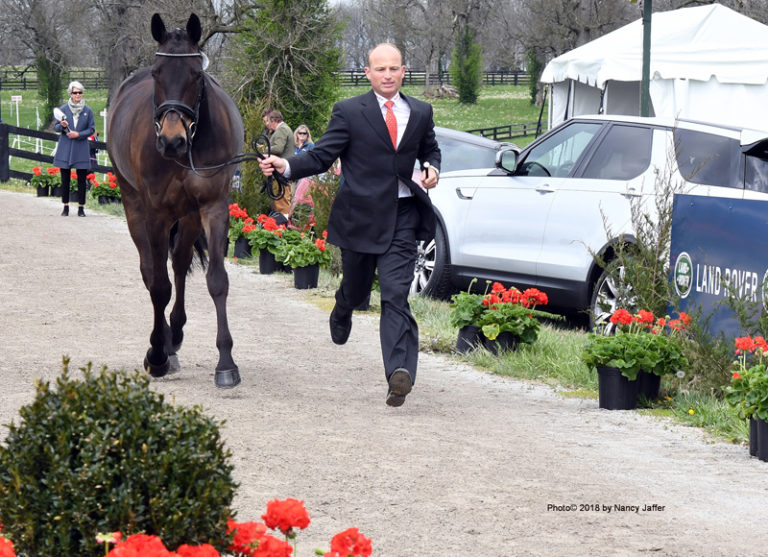 kentucky-horse-inspection-Michael-Jung-Fischerrocana-FST
