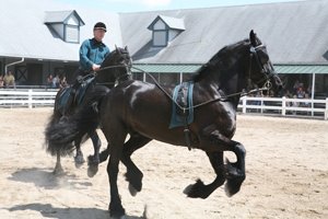 Kentucky Horse Park, KY promo image