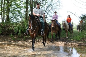 Land Between the Lakes, KY promo image