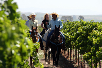 Larson Family Vineyards with Rafael Hernandez, Sonoma promo image