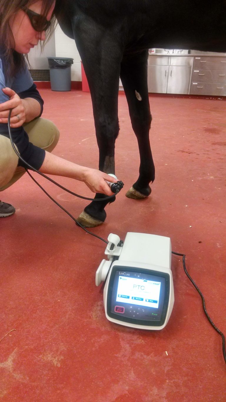 Laser Therapy