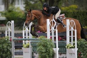 liza-boyd-performance-working-hunter-champion