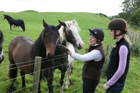 Lochill Riding, Scotland promo image