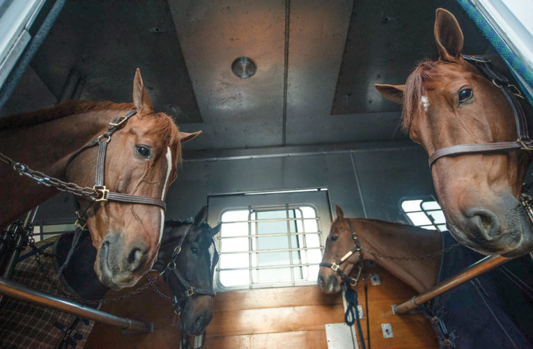 Long-Haul Travel Risks promo image