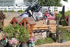 maggie jayne and frosted blue