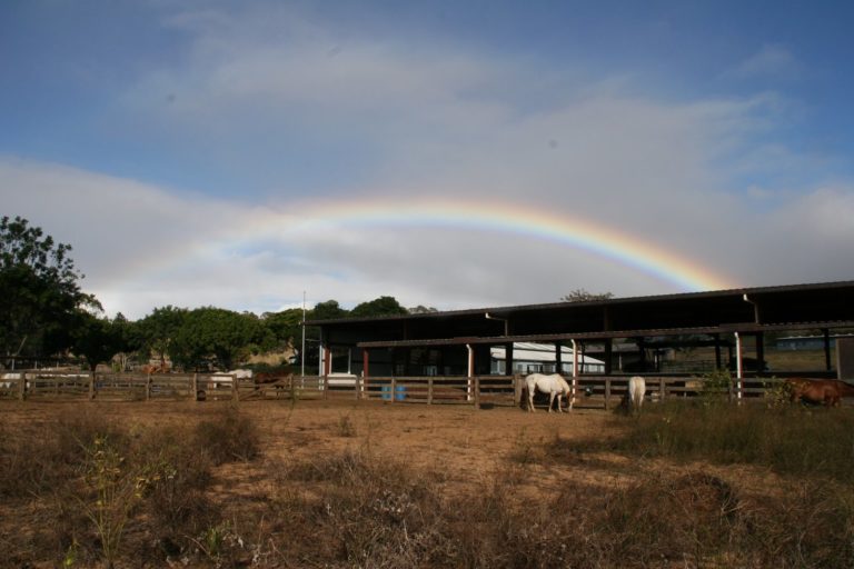 Makawao, Maui promo image