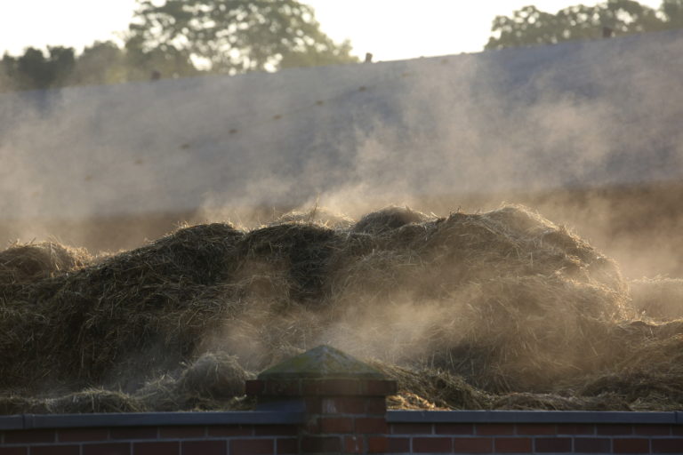 Manure Pile