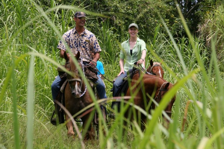 Maui Stables, Kipahulu promo image