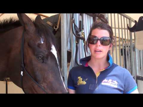 Meghan O'Donoghue on Pirate's barn personality | #RoadtoRolex14 promo image