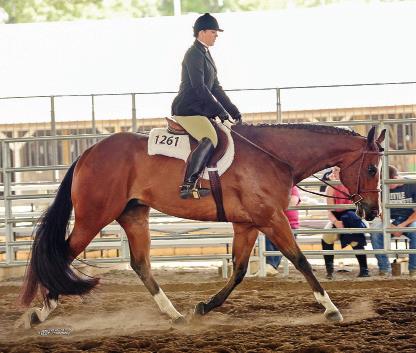 MyLife_Oct16_EyeoftheHorsePhotography