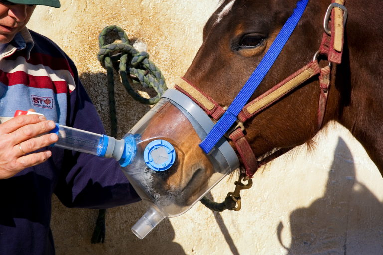 Nebulizer_Steroids_Asthma