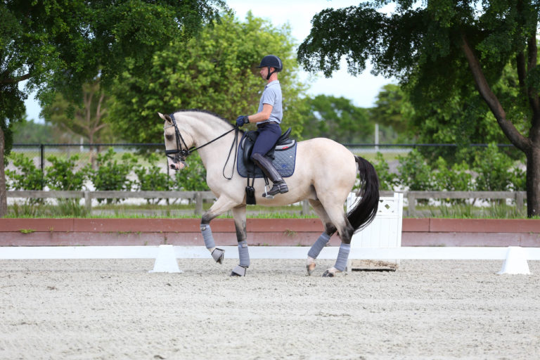 Nicholas Fyffe Guacamole under saddle