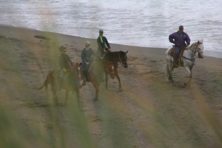 Northern Cali Beach Ride promo image