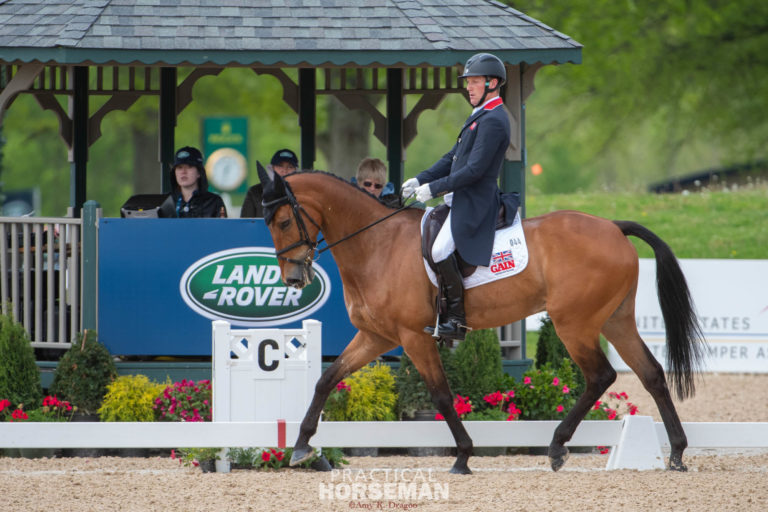 Ollie Townend Dressage 2