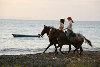 Pacific Coast Beach Ride, Costa Rica promo image