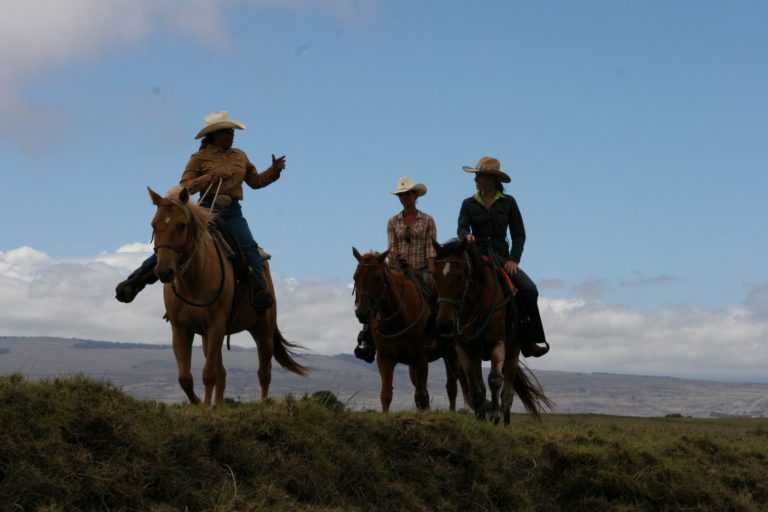 Parker Ranch, Big Island promo image