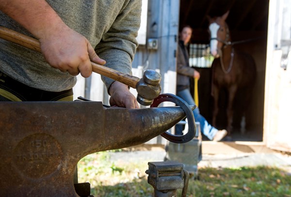 PH-01-proper-horse-trimming-shoeing