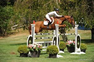 PH-American-Gold-Cup-abigail