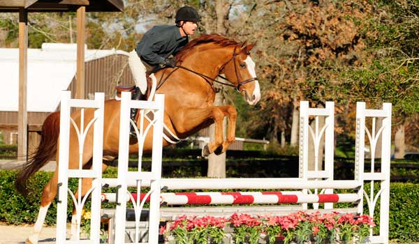 ph-bascule-peter-pletcher-opener