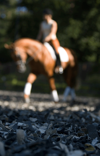 ph-fei-horse-footing