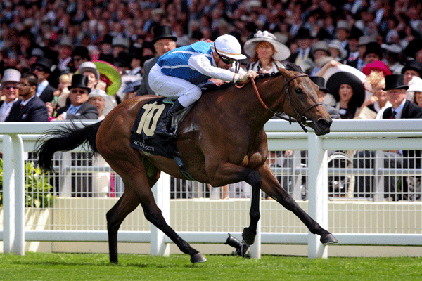 ph-horse-spookiness-stiffness