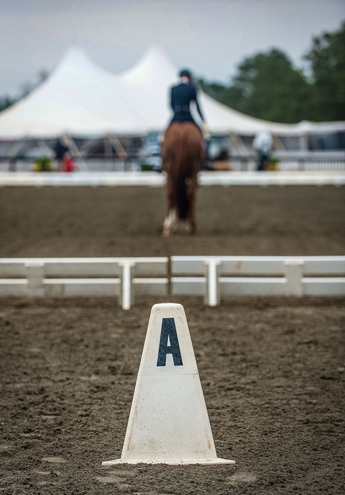 PH-remember-jumping-dressage-tests