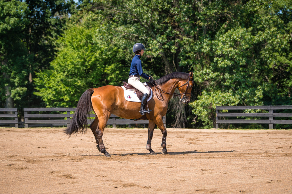 Sloane Coles Flying Changes