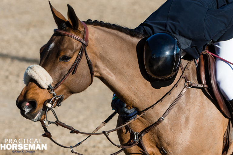 Photo Gallery: Longines FEI World Cup™ Jumping Thermal promo image