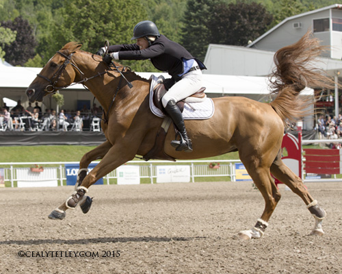 Photo Gallery: NAL Longines World Cup Qualifier at 2015 Bromont International promo image