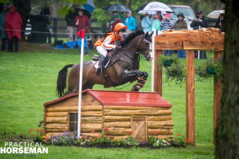 Photo Gallery: #Rolex15 Cross Country promo image