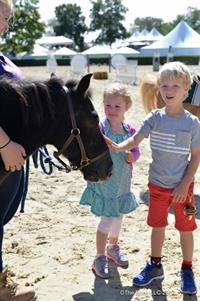 pied piper pony rides