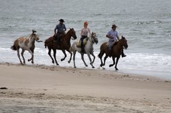 Pirates Beach, Rocha, Uruguay promo image