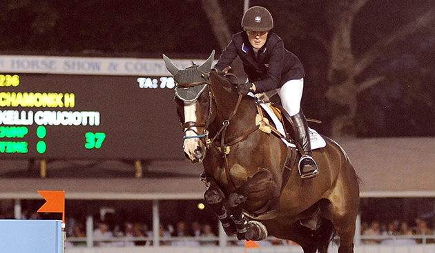 Postcard: 2015 Devon Horse Show and Country Fair promo image