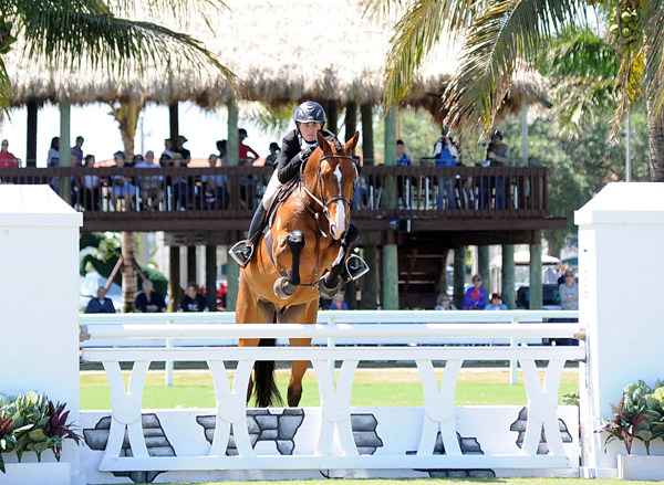 Postcard: 2015 WEF $50,000 USHJA International Hunter Derby promo image