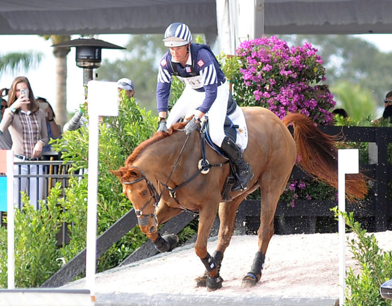 Postcard: 2016 Asheville Regional Airport Wellington Eventing Showcase promo image