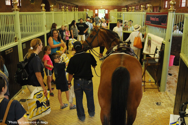 Postcard: Breyer Pony Up! promo image