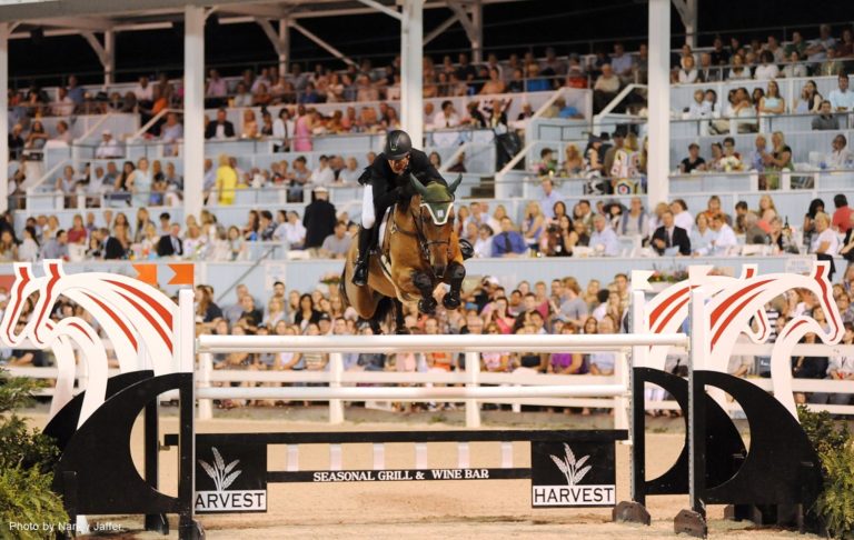Postcard: Devon Horse Show 2016 promo image